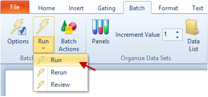 Figure T9.10  Selecting the Run Batch Process Command