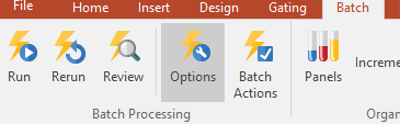 Figure T29.48 Accessing Batch Processing Options Figure T29.48 Accessing Batch Processing Options