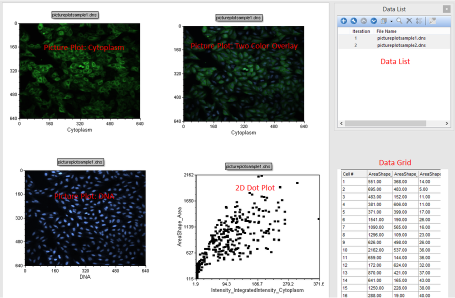 Figure T28.1  Overview of the IntroToImage1.fey layout