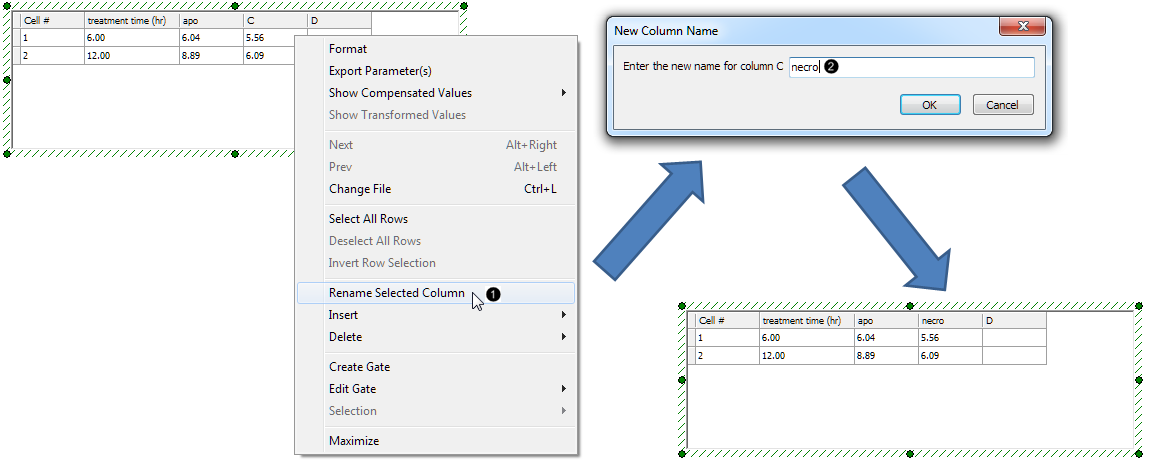 Figure 47. Renaming a column in the Custom Data Grid Figure 47. Renaming a column in the Custom Data Grid