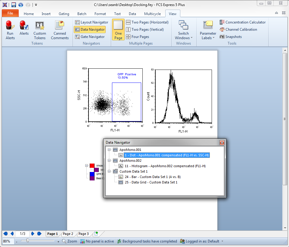 Figure 4.16  Data Navigator, Floating (Undocked)