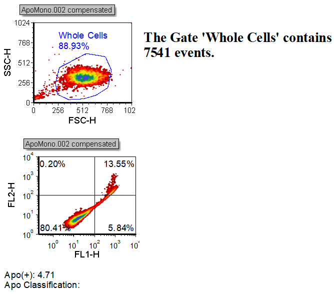 Figure T5.33  Token Classifier Layout (TokenClassifier.fey)