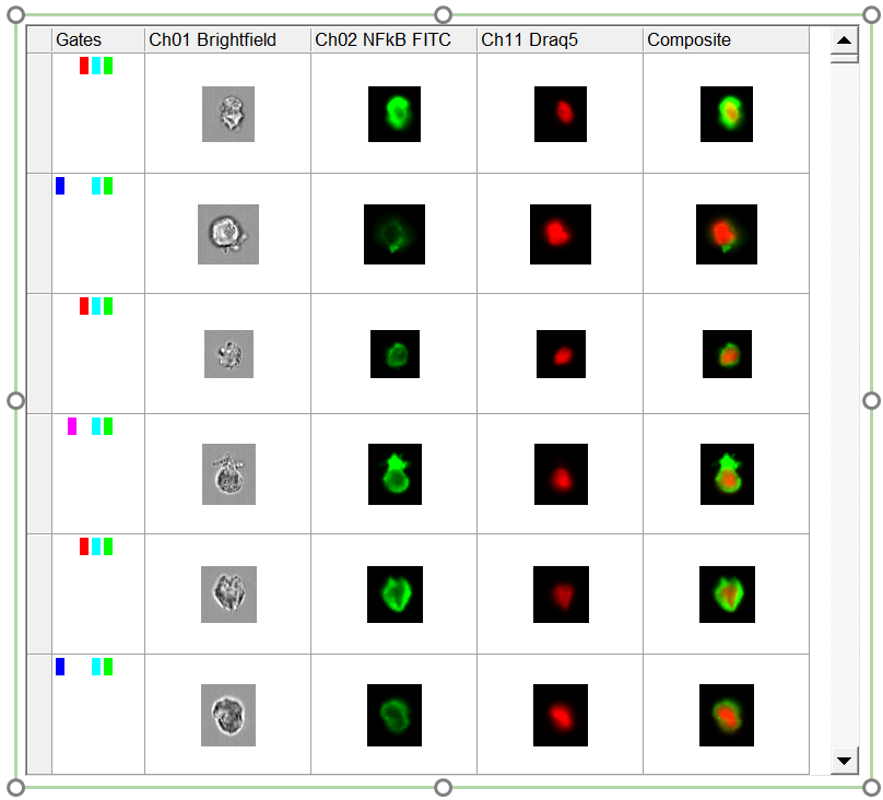 Figure 5.168  Backgated Data Grid. Bars in the Gates column of some events show in which gate(s) the cells fall.