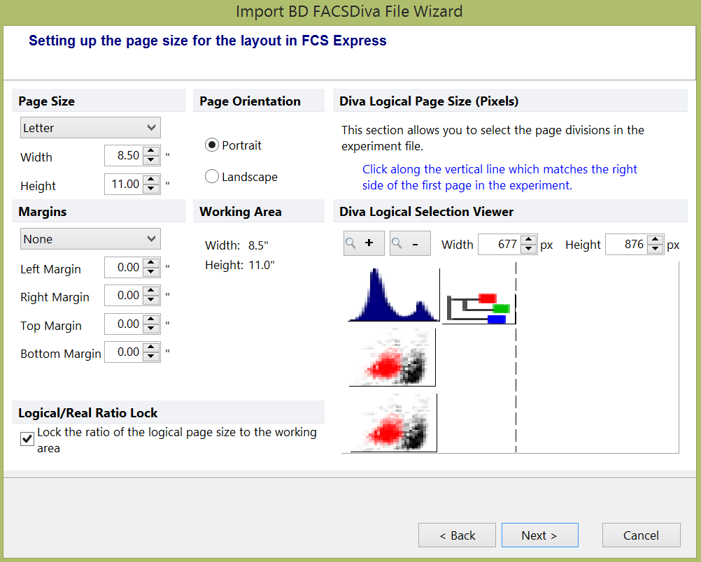 Figure 15.3  Import BD FACSDiva File Wizard - Setting Page Size
